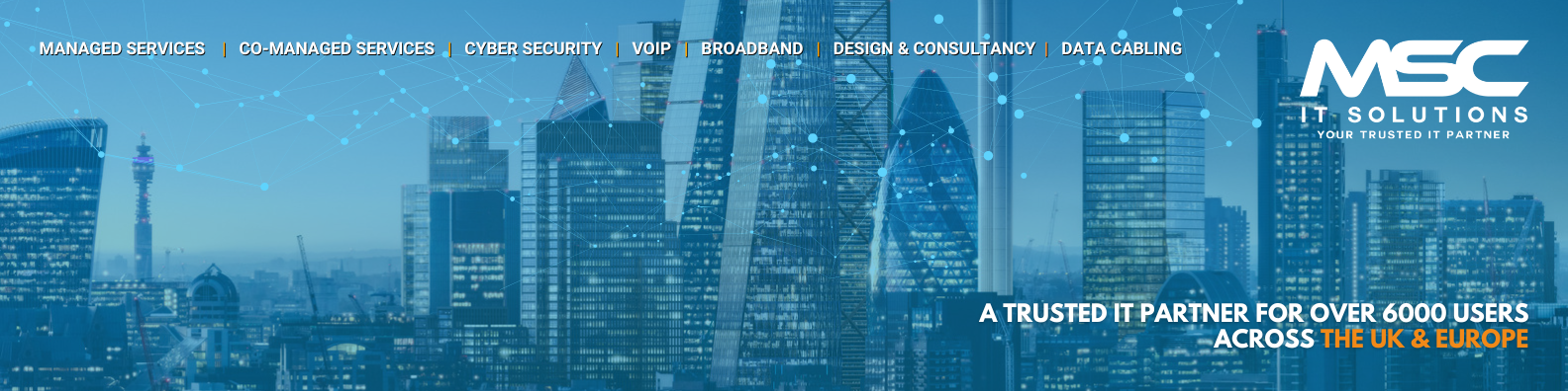 Website Banner